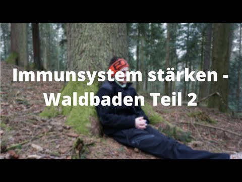 Immunsystem stärken - Waldbaden Teil 2 Waldgesundheit MyWoid Bayerischer Wald