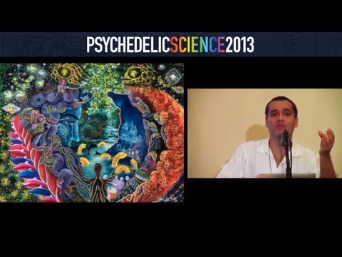 How Similar to Dreaming is the Ayahuasca Experience? - Sidarta Ribeiro