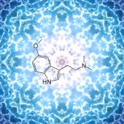 5-MeO-DMT – Information und Aufklärung