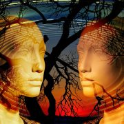 Die Dissoziative Identitätsstörung als Erklärungsmodell des Lebens im Universum