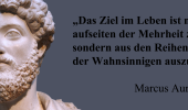 Anklagen, vergessen, verzeihen – Kann die Sars-Society transformativ gedeihen?